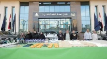 دفاع سارة خليفة يطالب بعرضها على الطب النفسي بسبب معاناتها من الاكتئاب 1